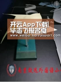 开云App下载|毕志飞报名戛纳电影节,艺考生花34万逐梦演艺圈(图2) 开云体育
